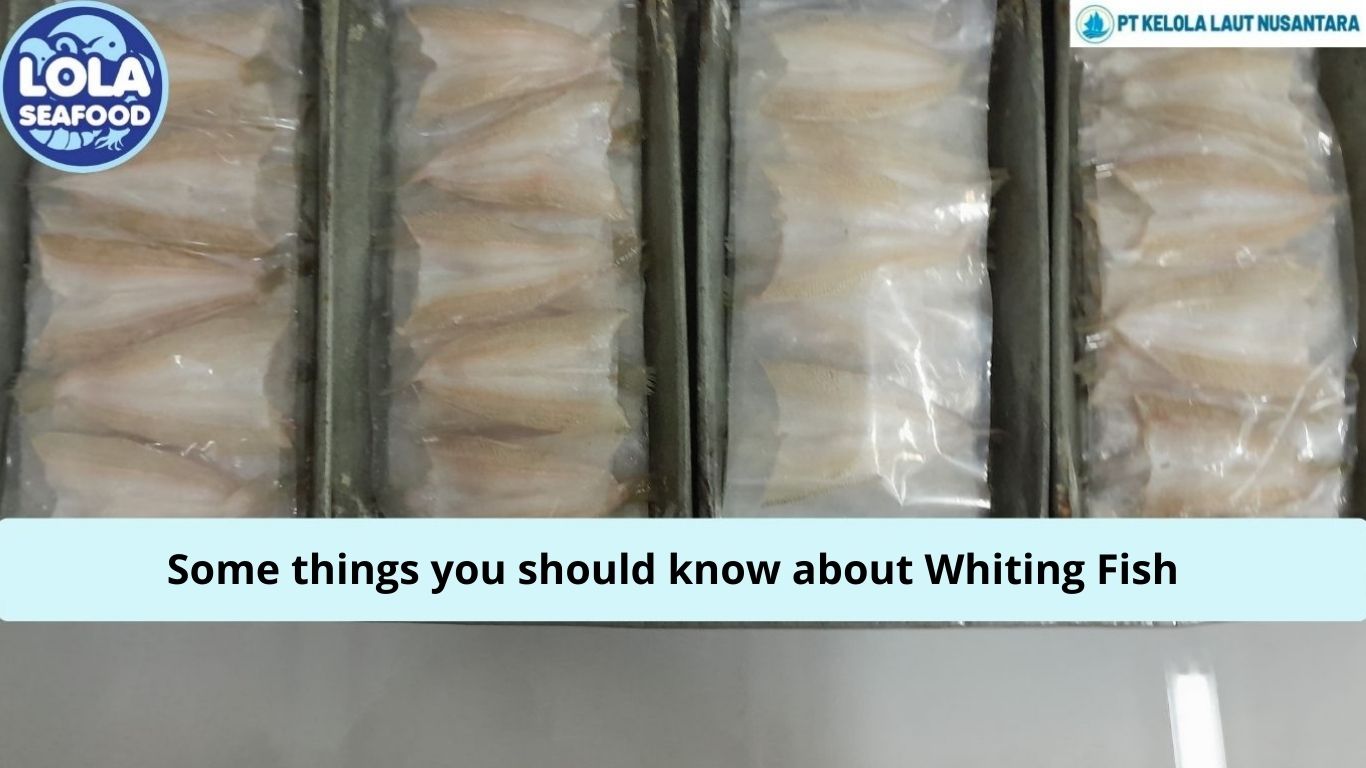 Some things you should know about Whiting Fish